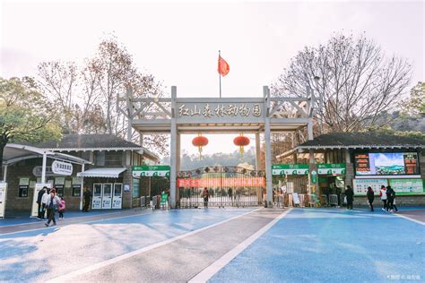 南京红山动物园门票免费