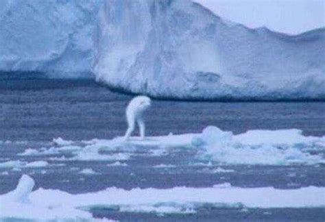 南极未解之谜全集视频