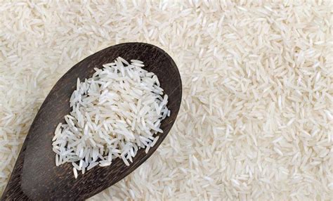 印度大米多少钱一斤