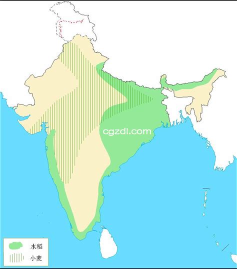 印度小麦和水稻分布