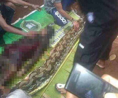 印度尼西亚蟒蛇吞女孩事件