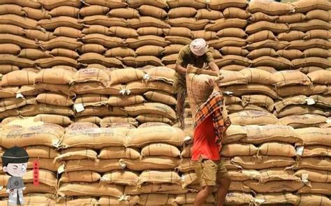 印度提高大米价格