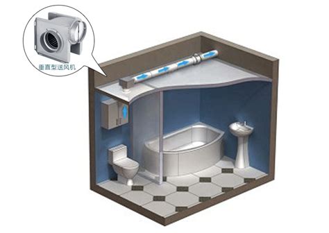 厕所排气管排气原理图