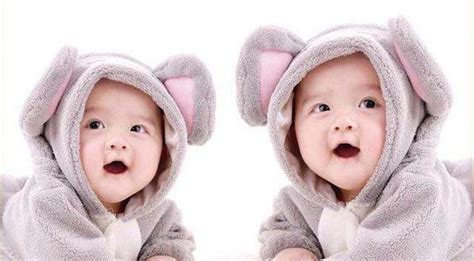 双胞胎女孩名字洋气有涵养鼠宝宝