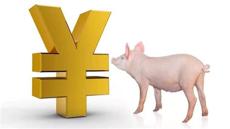 发改委预计本周猪价或频繁涨跌