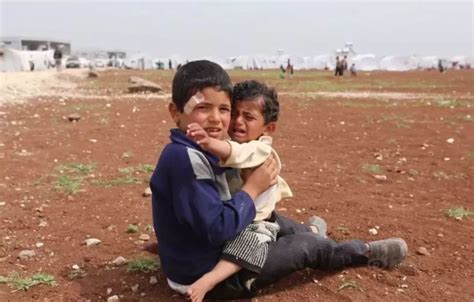 叙利亚感动到哭的视频