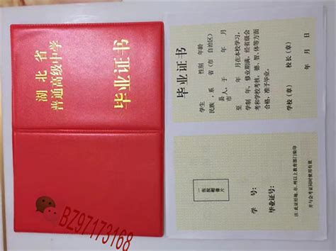 只有国外学位证书能落户上海