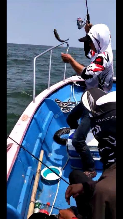 台山海宴蚝排钓鱼