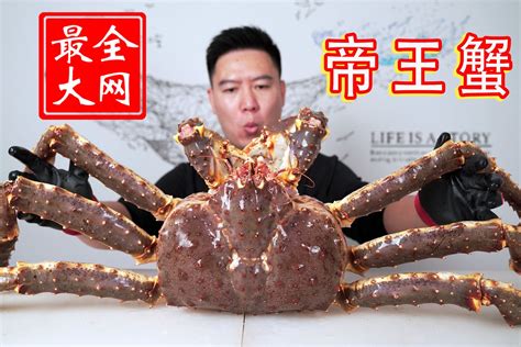 吃巨型帝王蟹完整视频