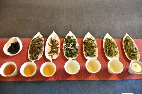 各类茶叶的功效及主要品种