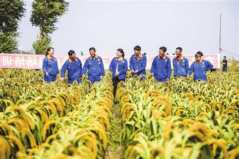 吉林省农业技术推广