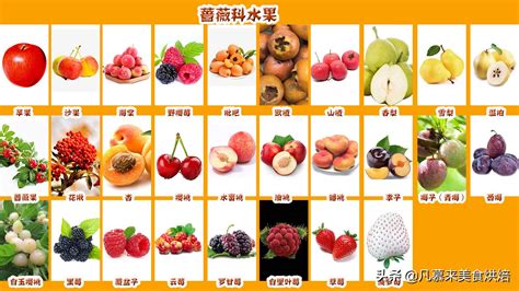 吉祥的水果有哪几种