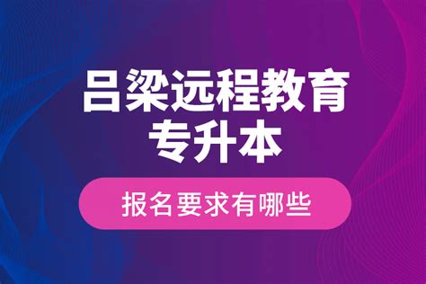吕梁远程指导网站推广平台