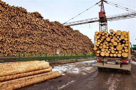 周口木材批发市场