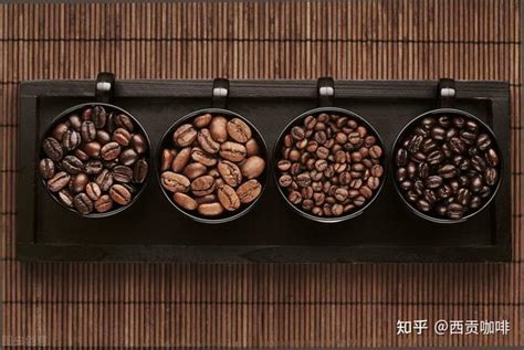 咖啡三大品种和特点
