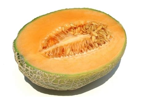 哈密瓜的籽是什么形状