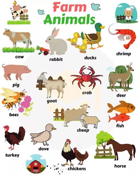 哺乳动物的英语mammal