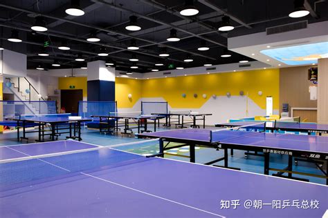 商丘乒乓球俱乐部收费标准