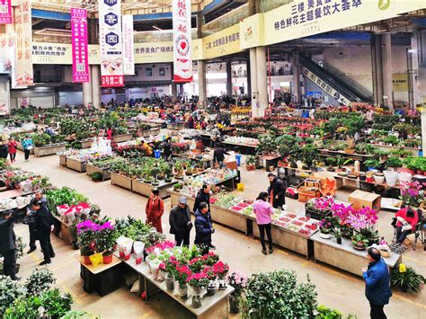 商丘最大的花卉批发市场在哪里