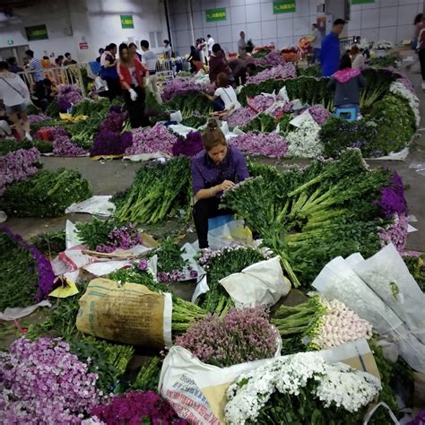 商丘鲜花市场