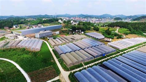 四川农业科技创新项目