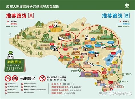 四川大熊猫基地景区地图