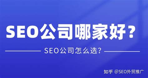 国内seo公司优化哪类网站最好