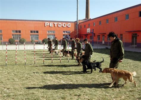 国外训犬师培训