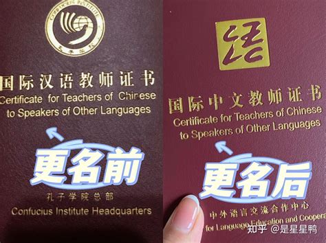 国际中文教师证书前景