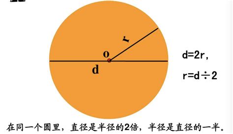 圆的面积公式和周长公式是什么