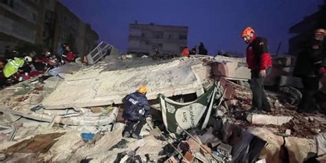 土耳其地震中国华人伤亡人数