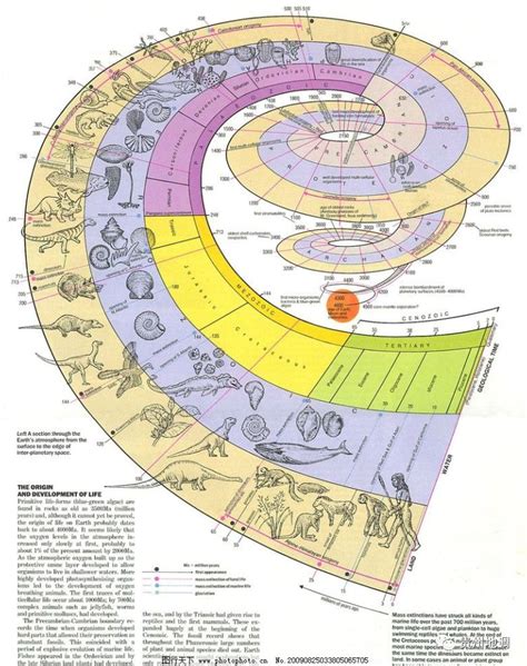 地球生物演化史图表