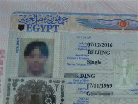 埃及工作签证照片