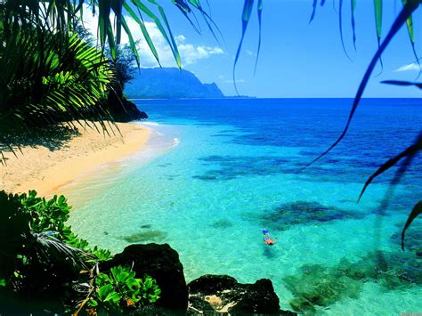夏威夷海滩背景图