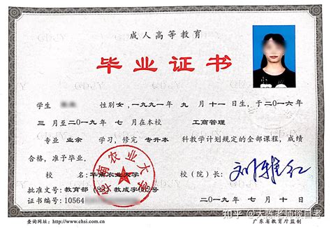 外籍学生在中国毕业证上的学历