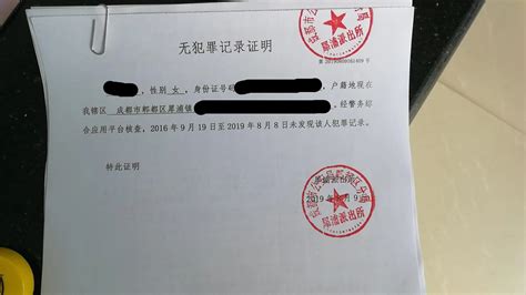大庆市公安局无犯罪证明