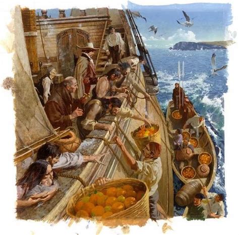 大航海时代船员的食物