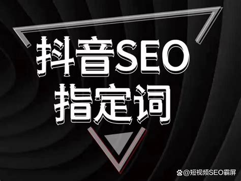 天津短视频seo营销怎么选择