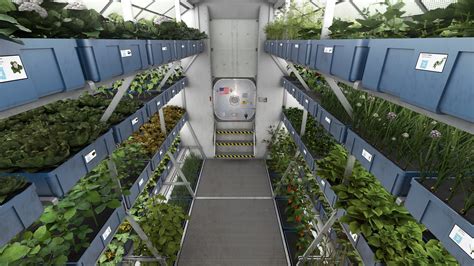 太空种植蔬菜
