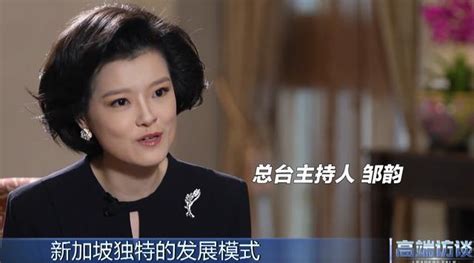 央视主持邹韵采访李显龙惊艳网友视频