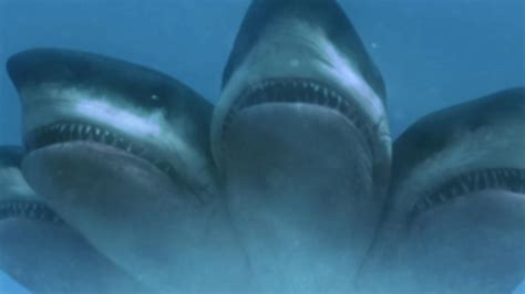 夺命五头鲨电影普通话版完整版