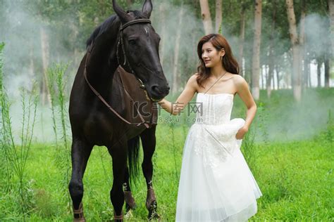 女人梦见一匹马