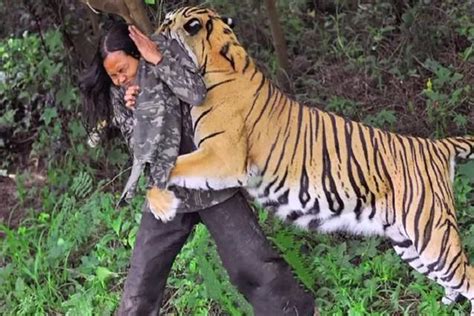 女人梦见与老虎搏斗