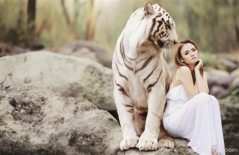 女人梦见老虎但是很乖