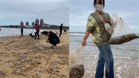 女子从海滩捡泸沽虾30斤虾回家