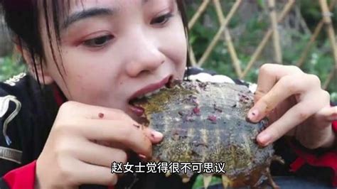 女子在自助餐吃到一个观赏甲鱼