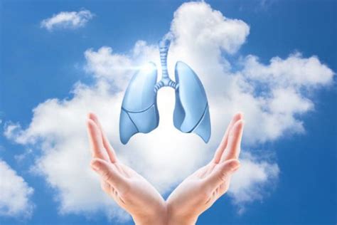 如何养肺护肺
