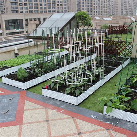 如何在楼顶种植蔬菜