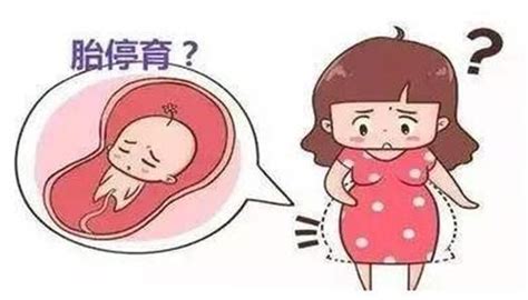 如何才能避免胎停育