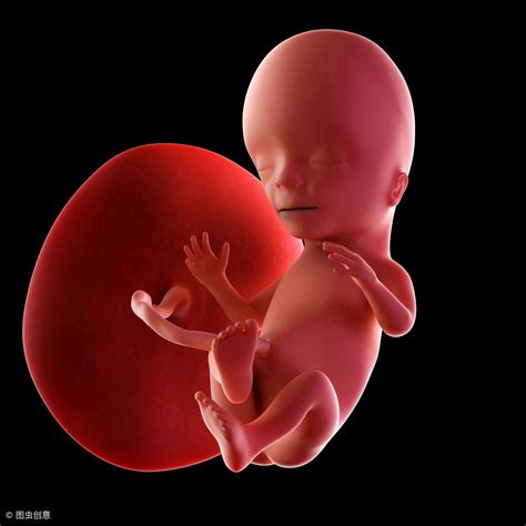 孕十周胎儿真实图片